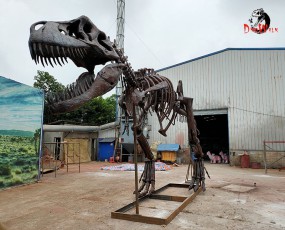 12米霸王龍化石骨架